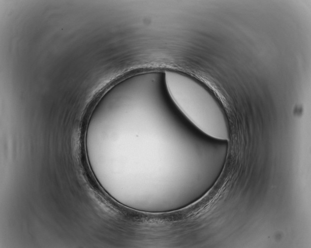 X0000100200677200805300747