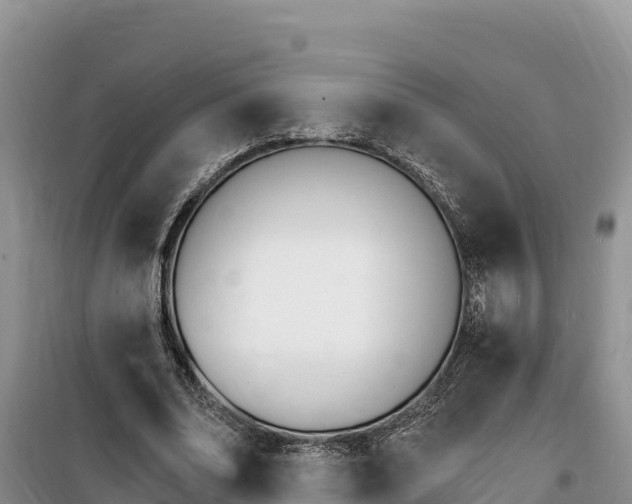 X0000100200678200805300747
