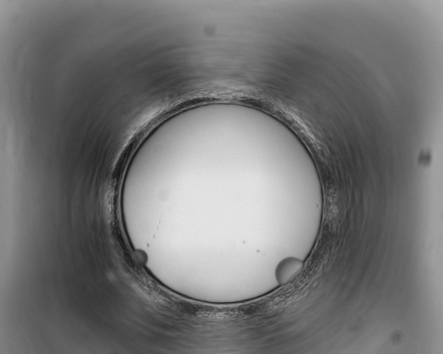 X0000100200679200805300747