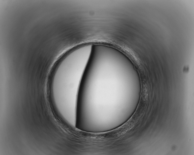 X0000100200680200805300747