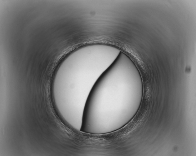 X0000100200681200805300747