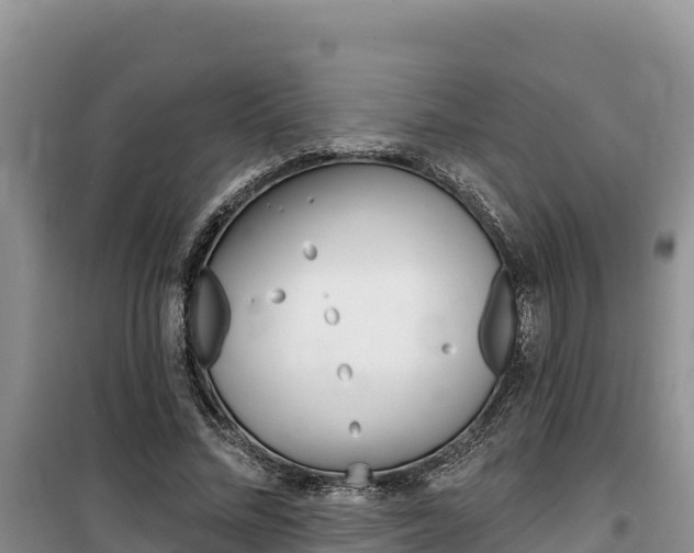 X0000100200684200805300747