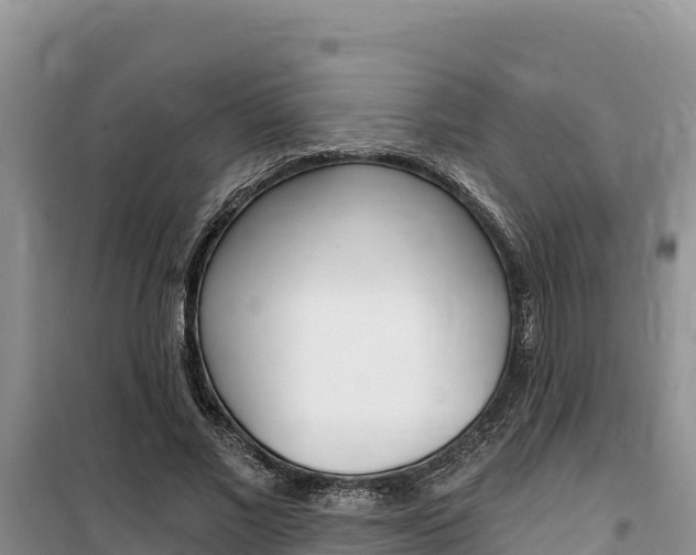 X0000100200685200805300747
