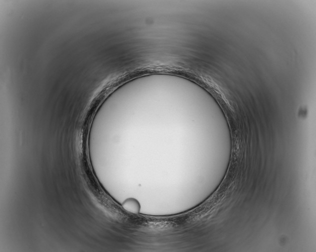X0000100200686200805300747