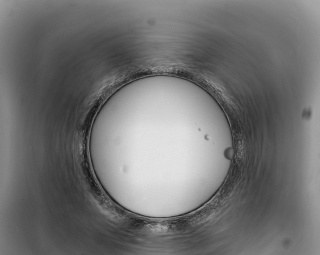 X0000100200687200805300747