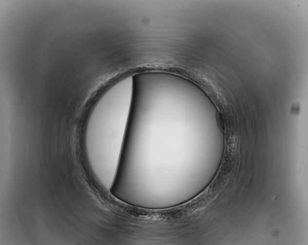 X0000100200688200805300747