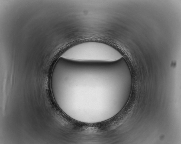 X0000100200689200805300747