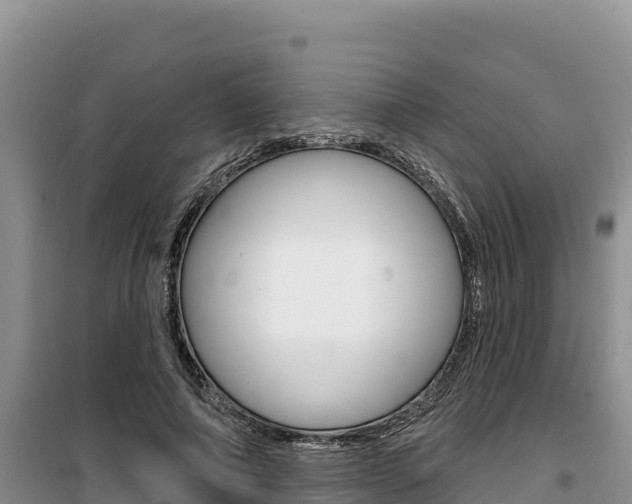 X0000100200690200805300747