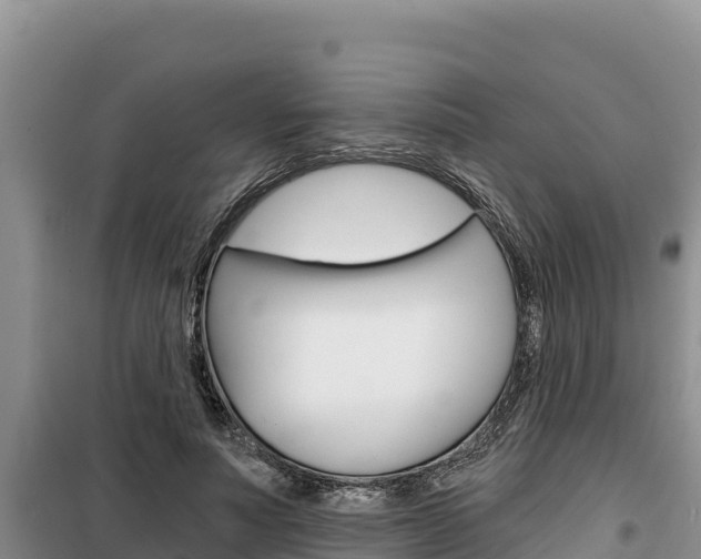 X0000100200691200805300747