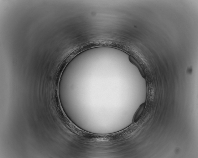 X0000100200692200805300747