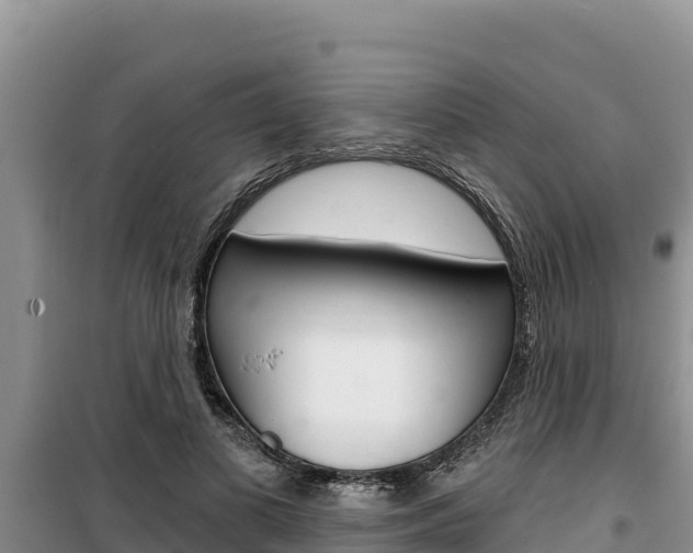X0000100200693200805300747