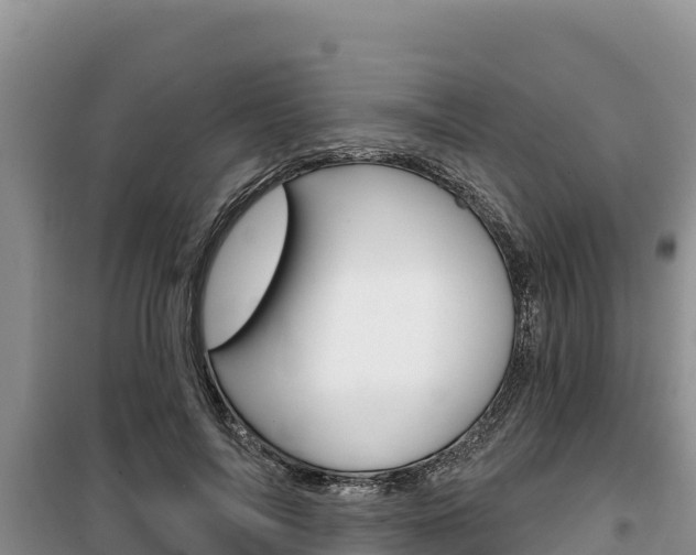 X0000100200694200805300747