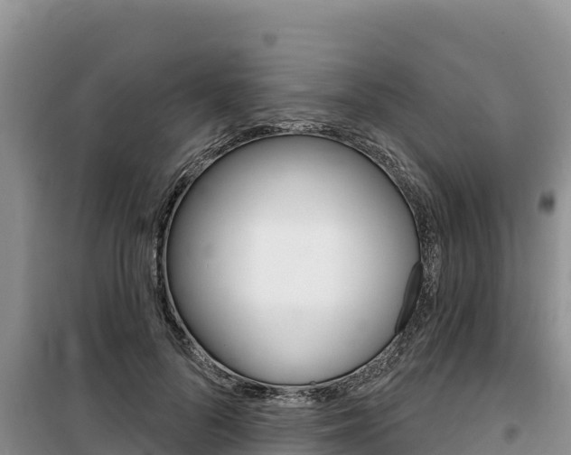 X0000100200696200805300747