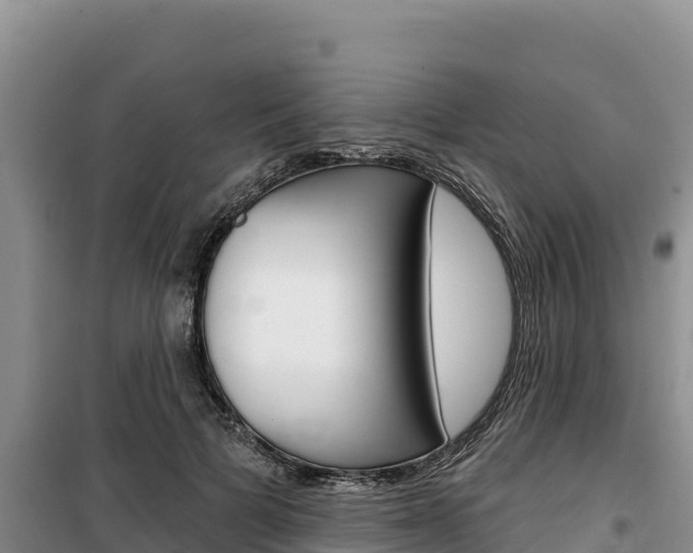 X0000100200697200805300747