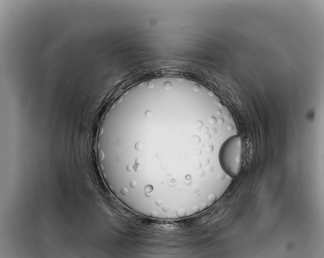 X0000100200698200805300747
