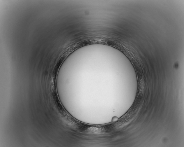 X0000100200699200805300747