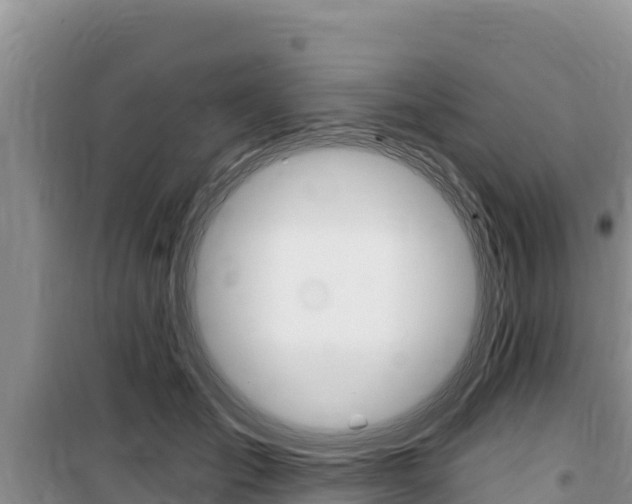 X0000100200701200805300747