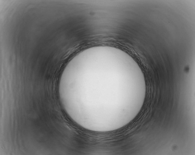 X0000100200704200805300747