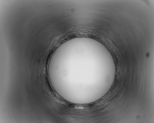 X0000100200706200805300747