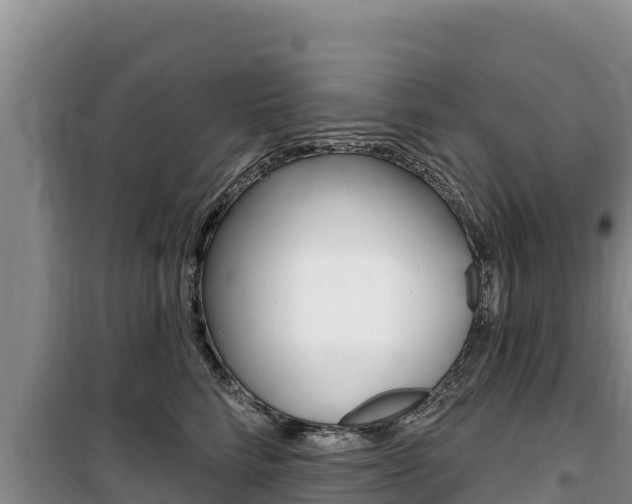 X0000100200712200805300747