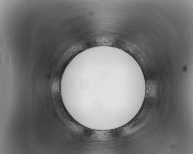 X0000100200713200805300747