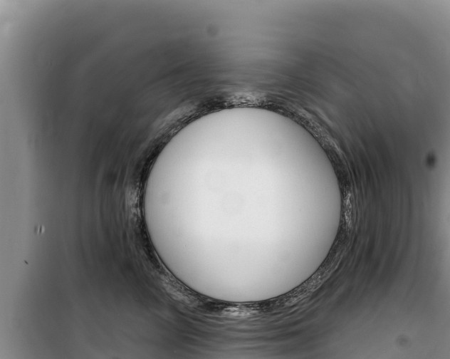 X0000100200714200805300747