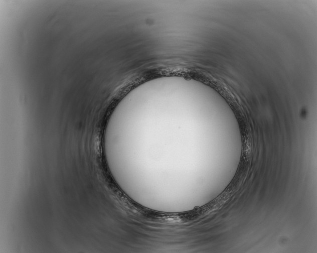 X0000100200715200805300747