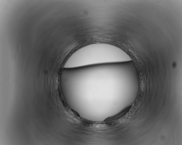 X0000100200716200805300747