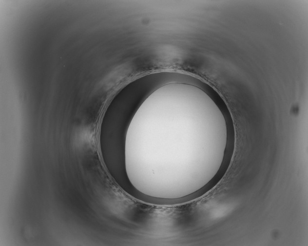 X0000100200720200805300747
