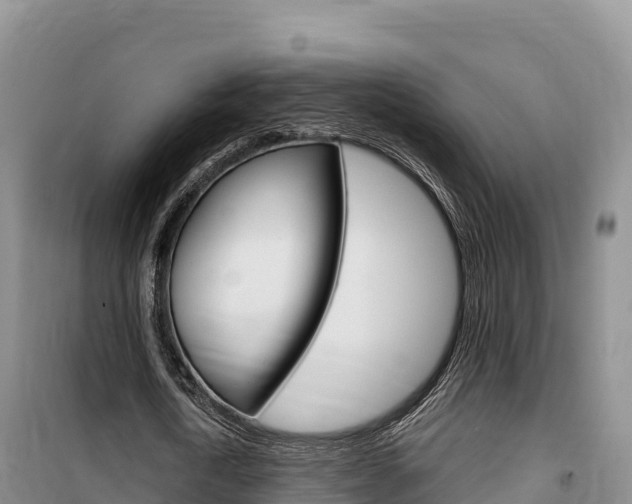 X0000100200722200805300746