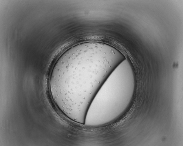 X0000100200725200805300746