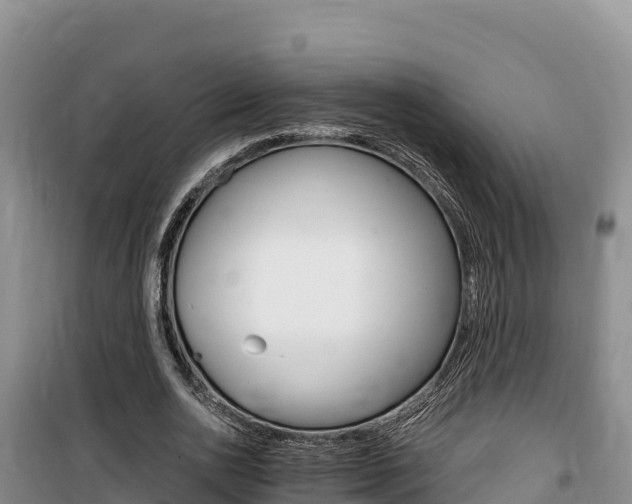 X0000100200726200805300746