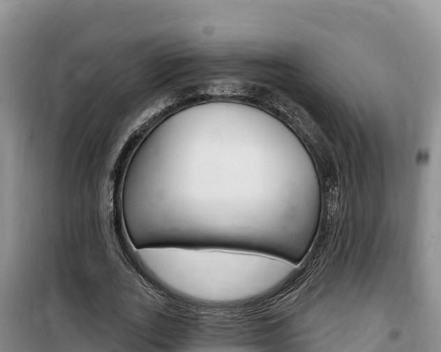X0000100200727200805300746