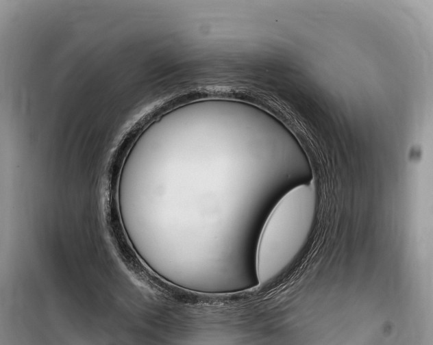 X0000100200728200805300746