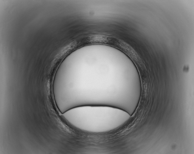 X0000100200729200805300746
