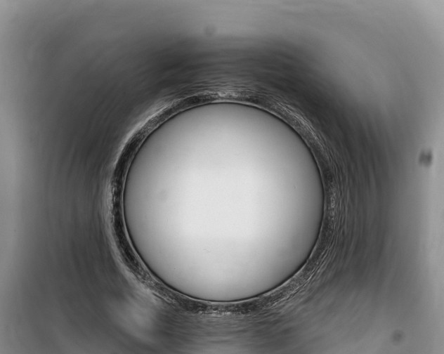 X0000100200730200805300746