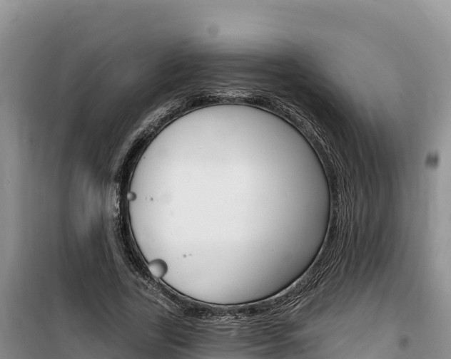 X0000100200731200805300746