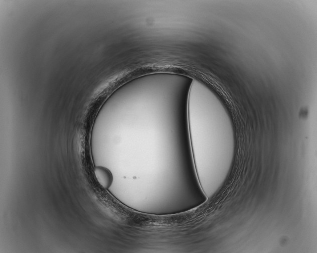 X0000100200732200805300746