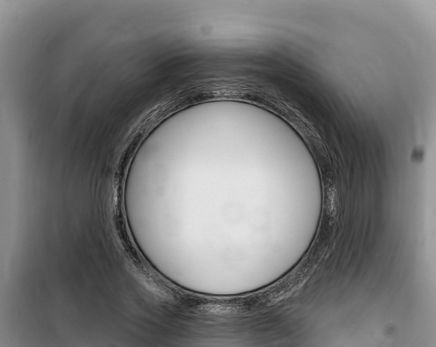 X0000100200733200805300746