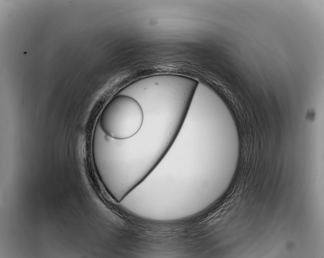 X0000100200734200805300747
