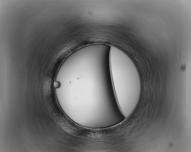X0000100200735200805300747