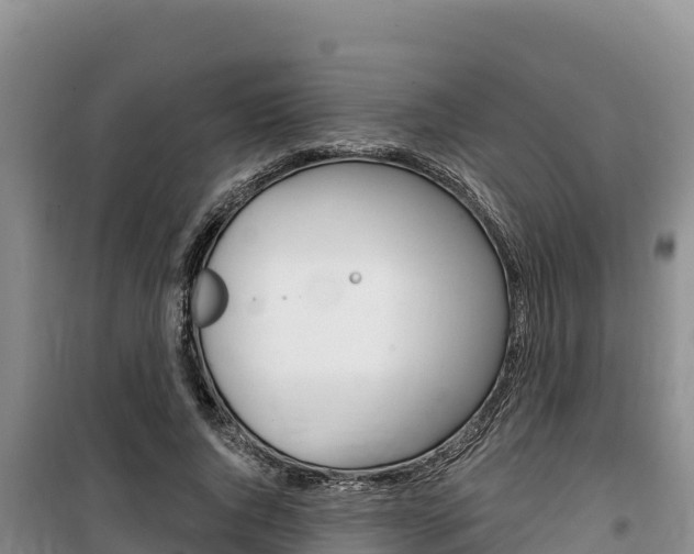 X0000100200736200805300747