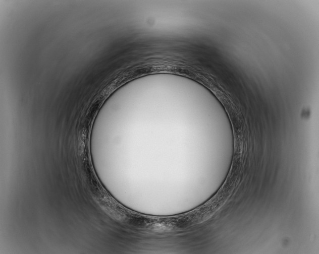 X0000100200737200805300747