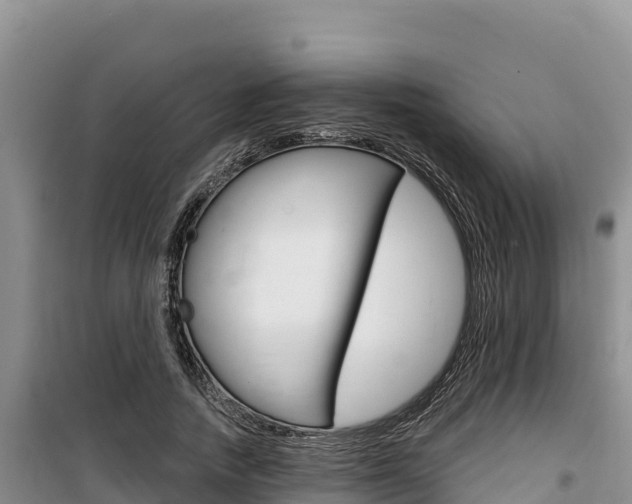 X0000100200738200805300747