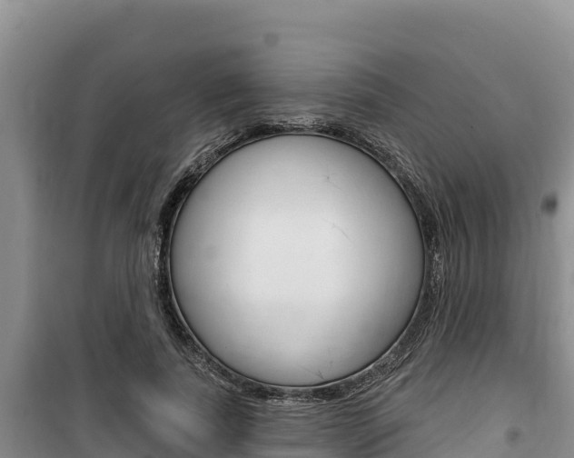 X0000100200739200805300747