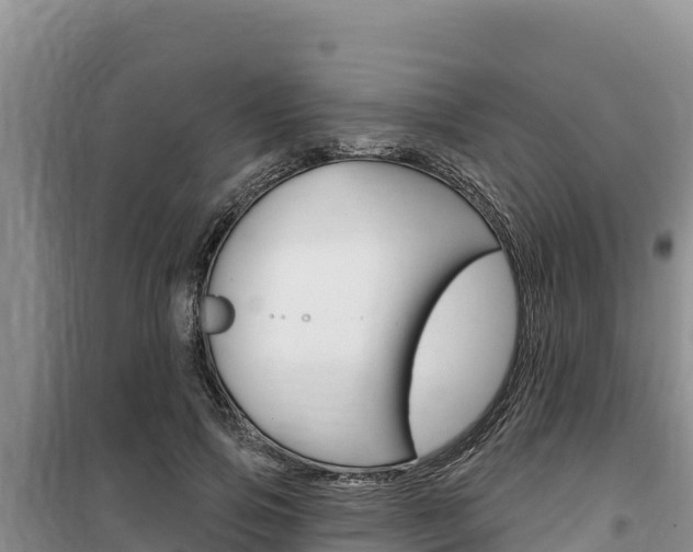 X0000100200741200805300747