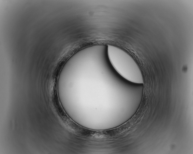 X0000100200742200805300747