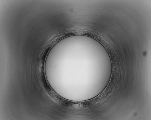 X0000100200744200805300747
