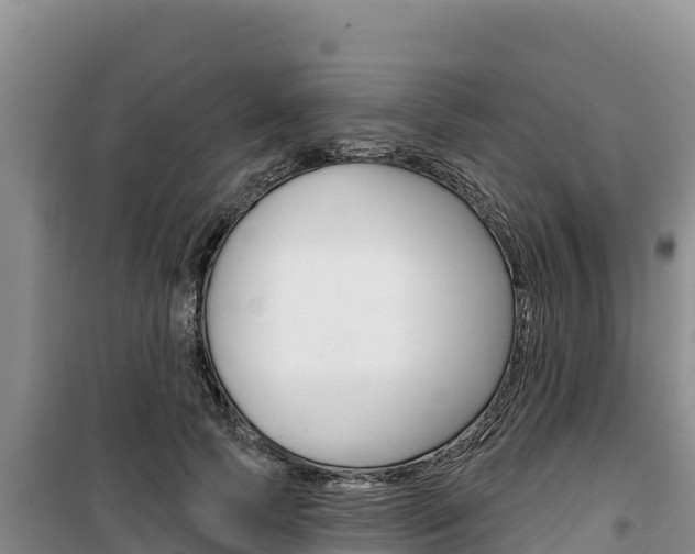 X0000100200745200805300747