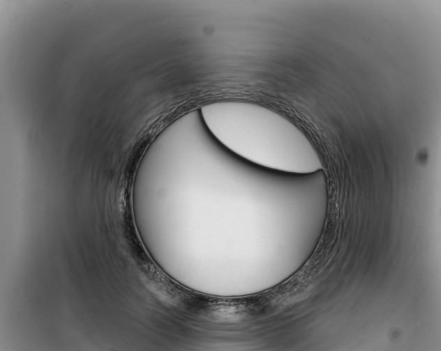 X0000100200746200805300747